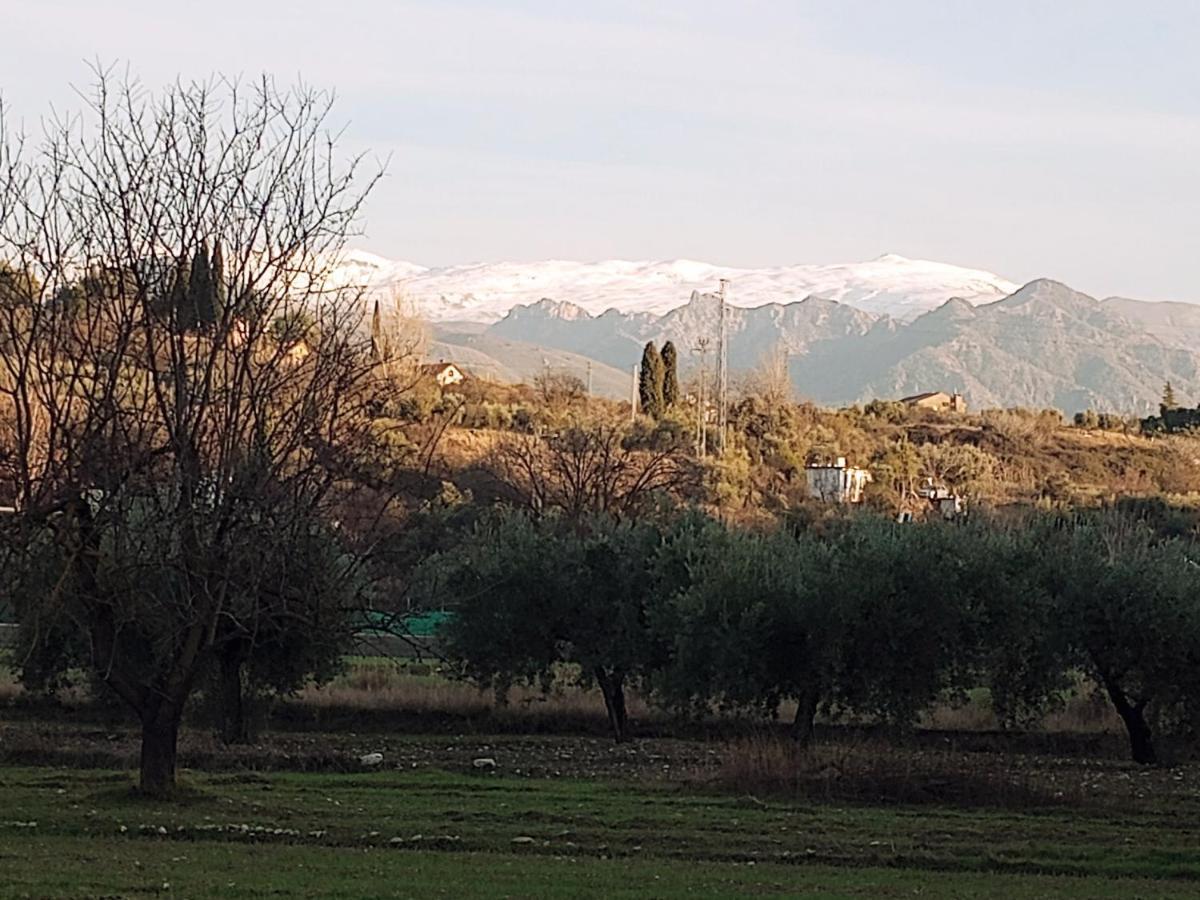Casa De Campo Los Manueles Ideal Perros Pet Friendly Gojar Dış mekan fotoğraf