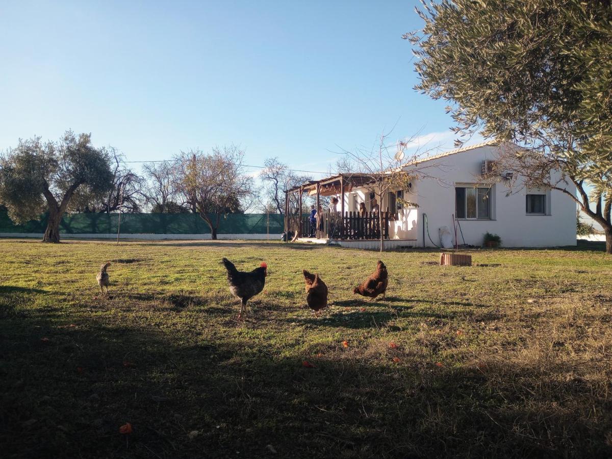 Casa De Campo Los Manueles Ideal Perros Pet Friendly Gojar Dış mekan fotoğraf