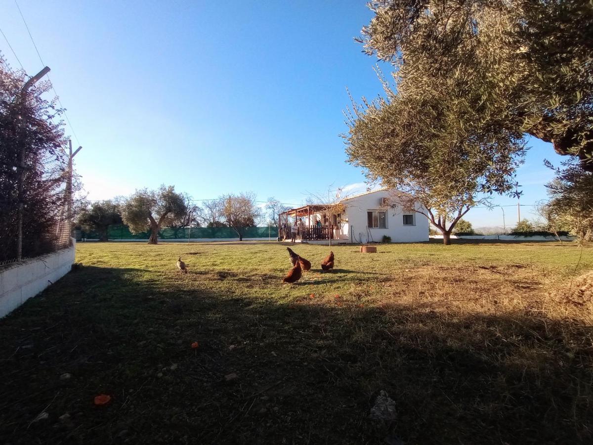 Casa De Campo Los Manueles Ideal Perros Pet Friendly Gojar Dış mekan fotoğraf