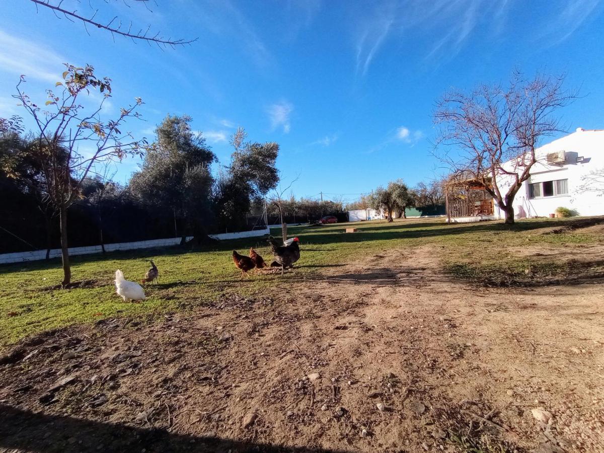 Casa De Campo Los Manueles Ideal Perros Pet Friendly Gojar Dış mekan fotoğraf