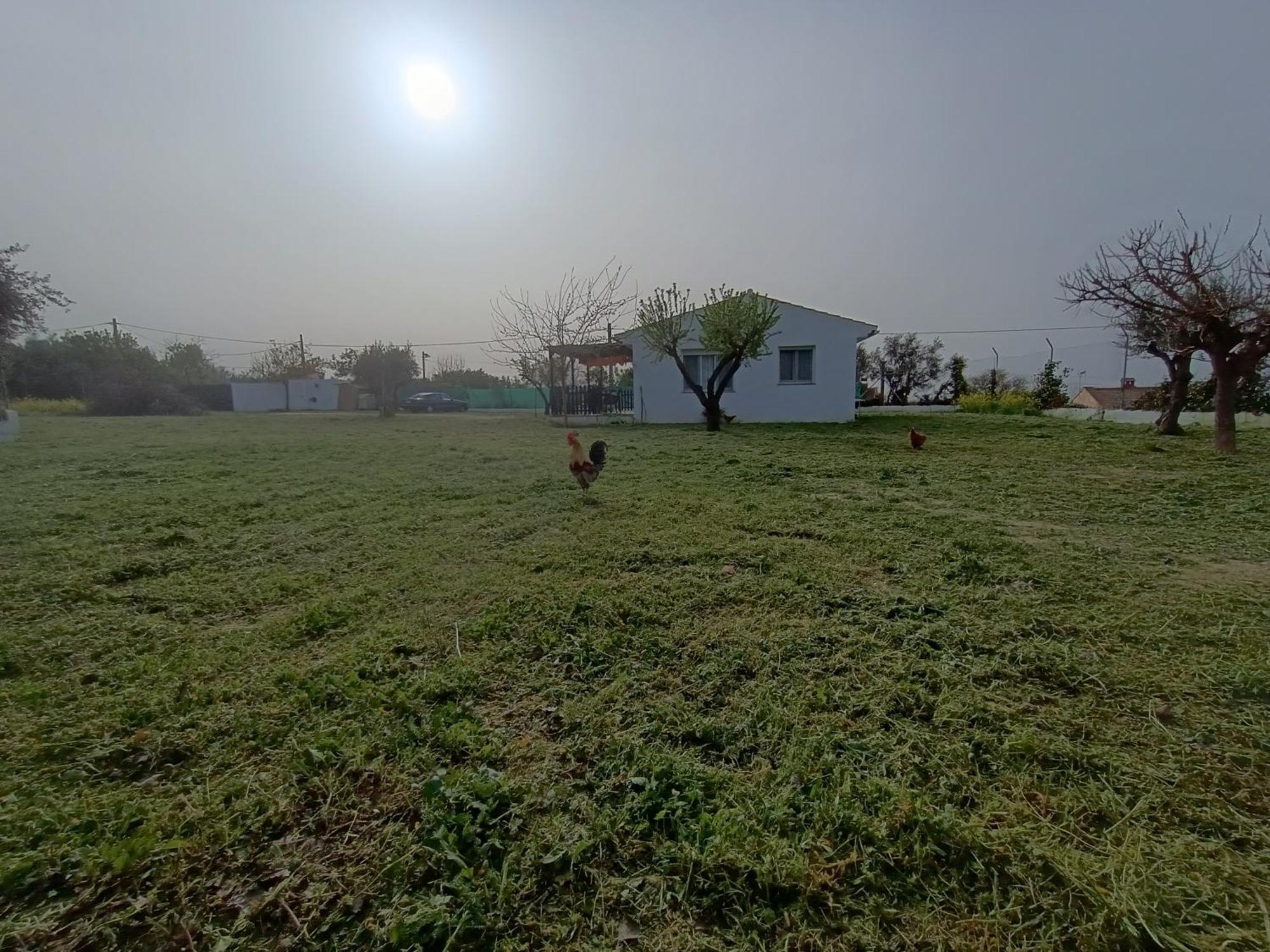 Casa De Campo Los Manueles Ideal Perros Pet Friendly Gojar Dış mekan fotoğraf