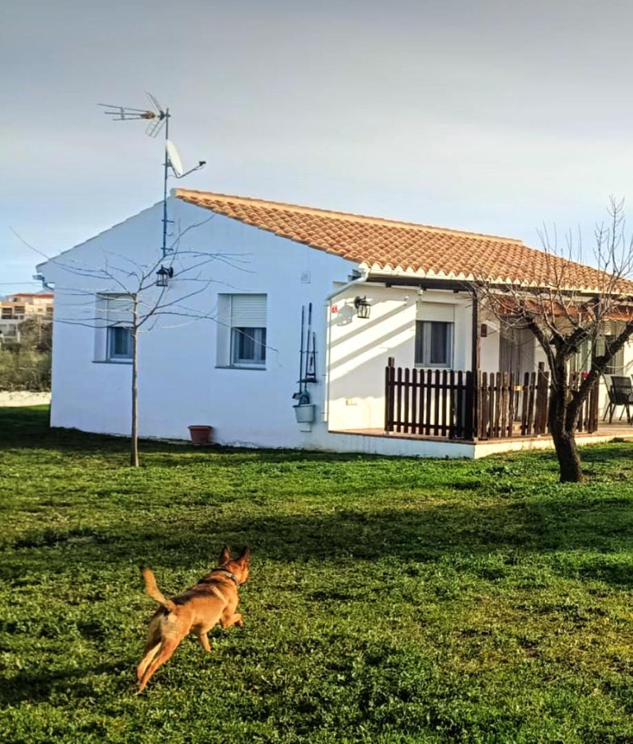 Casa De Campo Los Manueles Ideal Perros Pet Friendly Gojar Dış mekan fotoğraf