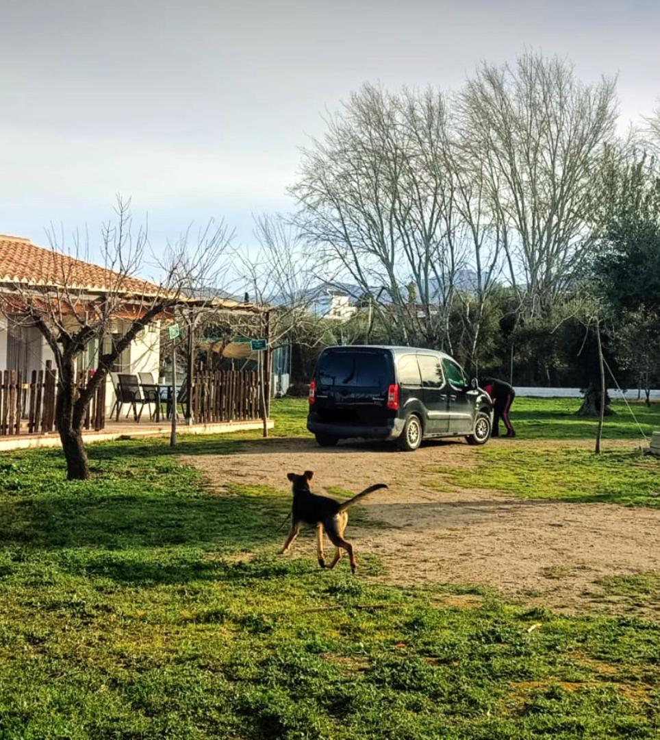 Casa De Campo Los Manueles Ideal Perros Pet Friendly Gojar Dış mekan fotoğraf