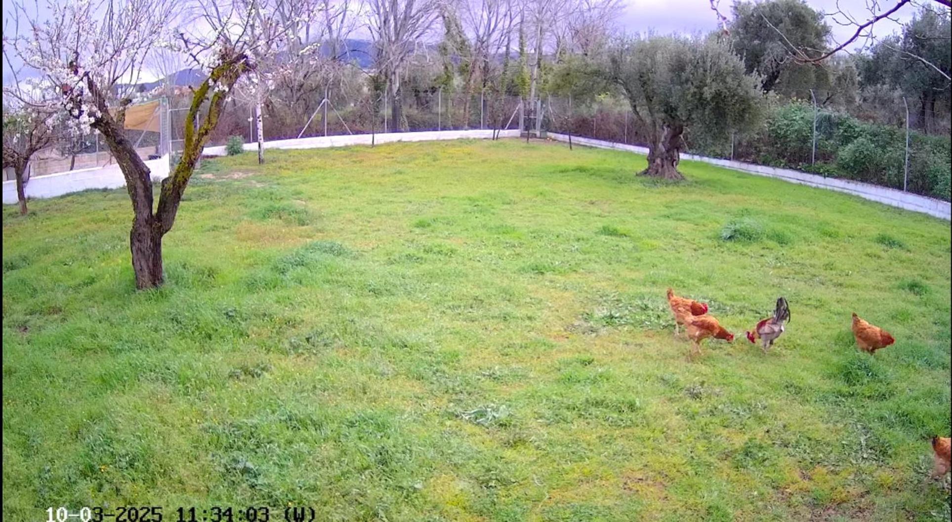 Casa De Campo Los Manueles Ideal Perros Pet Friendly Gojar Dış mekan fotoğraf